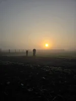 20261024_071609.webp