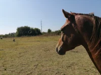IMG_20230911_104302.webp