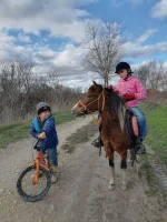 IMG_20231220_141201.webp IMG_20231220_141201.webp