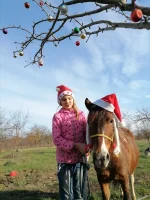 IMG_20231230_120010.webp IMG_20231230_120010.webp