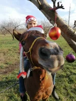 IMG_20231230_120110.webp IMG_20231230_120110.webp