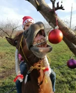 IMG_20231231_101702.webp IMG_20231231_101702.webp