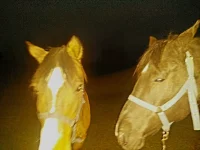 20261027_175119.webp