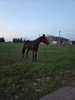 20261027_172220.webp