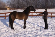 IMG_5052.webp