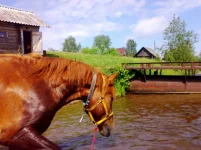 020620102429.webp