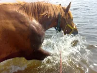 020620102430.webp