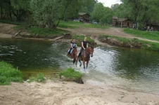 x_a05ba2a6[1].webp
