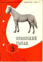 Орловский рысак.webp