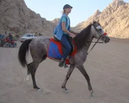 egipet-web-2.webp