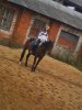 DSC00557.JPG