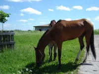 июль 09 012.webp