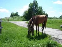 июль 09 013.webp