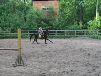 x_49fff179.webp