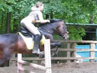 x_73f07145.webp