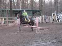 x_33892278.webp