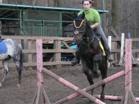 x_c28df224.webp