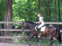 x_c1365f07.webp