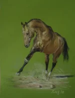 ровшик.webp