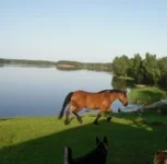 SAM_0873.webp