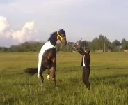30052010563.webp