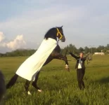 30052010561.webp