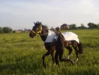 30052010552.webp