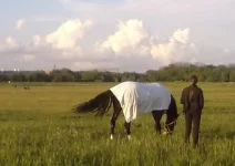 30052010564.webp
