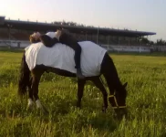 30052010573.webp