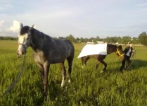 30052010555.webp