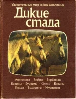 Дикие стада.webp