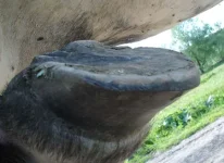 DSC04316.webp