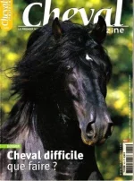 2006..webp