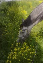 03062010588.webp