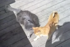 05062010598.webp
