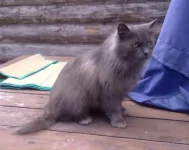 05062010608.webp