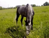 12062010644.webp