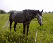 12062010646.webp