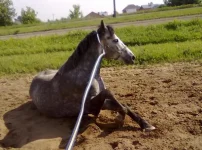 12062010652.webp