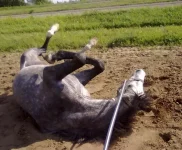12062010651.webp