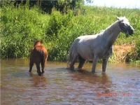 c040f6a0b8b2[1].webp