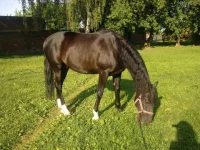 Image0147ф.webp