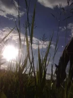 14062010677.webp