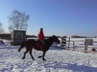P1060139.webp