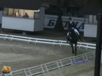 006.webp
