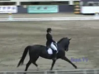 009.webp