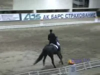 012.webp