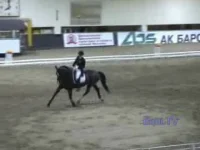 014.webp