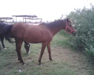 profile 2.webp
