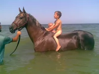 11072010_066_.webp